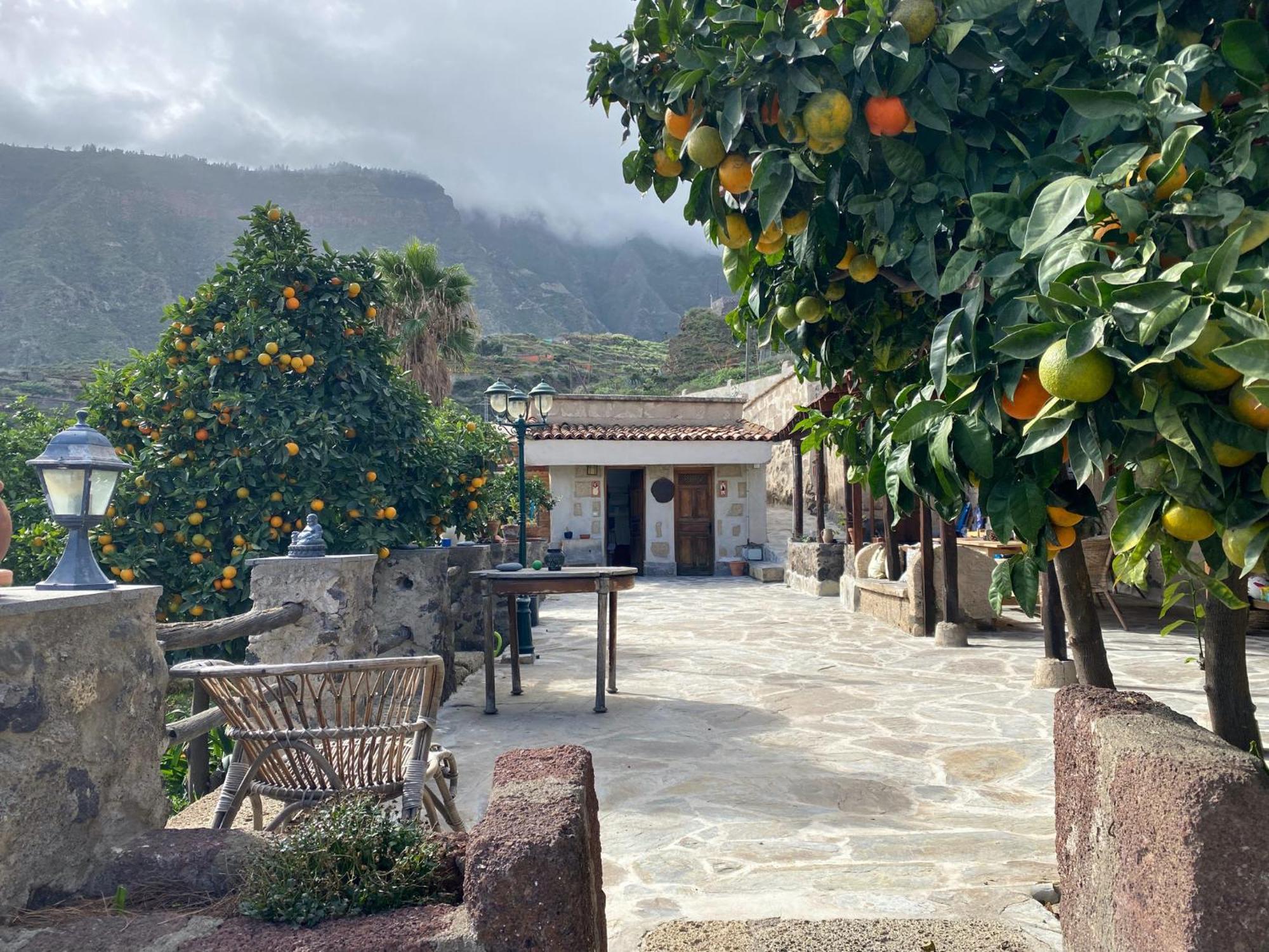 Güimar Biofinca Casa El Riego מראה חיצוני תמונה